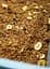 Гранола Bee Granola Шоколад 500 г - миниатюра 3