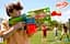 Бластер Hasbro Nerf Elite 2.0 Двойной удар (F6363) - миниатюра 8