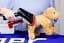 Отпариватель Zelmer ZGS1600 Ready2go [73241] - миниатюра 7