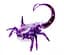 Нано-робот Hexbug Scorpion, фіолетовий (409-6592_purple) - мініатюра 1