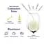 Вино Marlborough Sun Sauvignon Blanc, біле, сухе, 0,375 л - мініатюра 5