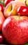 Agrobox с высокоурожайным плодовым деревом Agro-Market 1 саженец в упаковке (48046)  - миниатюра 1