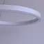 Подвесная люстра Friendlylight Viola 400 FL5150 - миниатюра 3