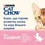 Сухий корм для кошенят Cat Chow Kitten з куркою 1.5 кг - мініатюра 4