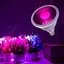 Светодиодная фитолампа X-LED 7Вт FL-7s - миниатюра 1