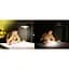 Лампочка Osram LED E27 8Вт 806Лм 2700К A60 акумуляторна (4099854190087) - мініатюра 8