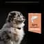 Сухой корм Purina Pro Plan Medium Puppy <1 Sensitive Skin для щенков средних пород с чувствительной кожей с лососем 12 кг (12367295) - миниатюра 7