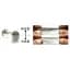 Силікон Keitech Easy Shiner 8" EA#18 mystic lime chart (2 шт/уп) - мініатюра 4