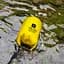 Водонепроникний рюкзак ArmorStandart Waterproof Outdoor Gear 20L Yellow [ARM59239] [83964] - мініатюра 3
