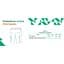 Шорты Pentagon Ranger 2.0 Shorts 44 Ranger Green - миниатюра 8