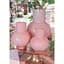 Ваза Lefard Xebora Pink скляна 22х17.5 см (804-156) - мініатюра 2