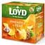 Чай фруктовый Loyd Pineapple&Pear, ананас груша, в пирамидках, 40 г - миниатюра 1