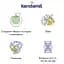 Молочна каша Kendamil з яблуком та чорною смородиною 150 г (92000008) - мініатюра 3