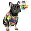 Жилет Pet Fashion Spring XS2 принт - мініатюра 2