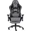 Геймерське крісло GT Racer сіре із чорним (X-2534-F Fabric Gray/Black Suede) - мініатюра 1