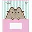 Набір зошитів Yes Pusheen Candy А5, 18 аркушів 25 шт. (767601) - мініатюра 2