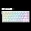 Клавиатура Attack Shark X65 HE Contours Side Printed RGB White - миниатюра 1