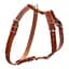 Шлея одинарная CoLLaR для мелких и средних собак - миниатюра 1