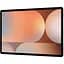 Планшет Samsung Galaxy Tab S10 Plus 5G 12/256GB Platinum Silver (SM-X826BZSR) [159547] - миниатюра 2