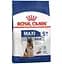 Сухой корм для собак крупных пород старше 5 лет Royal Canin Maxi Adult 5+, 4 кг (3008040) - миниатюра 1