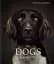 The Dogs: Human Animals - миниатюра 1