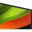 Телевізор LG B5 55` OLED Ultra HD 4K 2025 (OLED55B56LA) UA [137240] - мініатюра 10