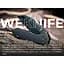 Ніж складаний Weknife High-Fin XL WE24010-1 - мініатюра 12