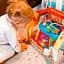 Ігровий центр Kiddieland Мультицентр, укр. мова (054932) - мініатюра 9