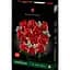 Конструктор LEGO Botanicals Букет роз 822 детали (10328) - миниатюра 2