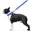 Поводок Dog Extreme из нейлона двойной (ширина 20мм, длина 122см), голубой - миниатюра 5