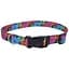 Нашийник для собак Coastal Pet Attire Style 1см х 12-30см (06321_WDF12) - мініатюра 1