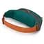 Поясна сумка Osprey Daylite Waist S21 Grey/Yellow (1054-009.3745) - мініатюра 3