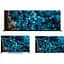 Телевізор Sony Bravia XR A80L 83" OLED 4K [XR-83A80L] EU [131977] - мініатюра 11