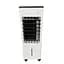 Охладитель воздуха Germatic DY-30A 120W с пультом 5.5л (Белый) - миниатюра 1