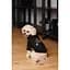 Толстовка для собак Pet Fashion Halloween М черная - миниатюра 6