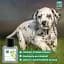 Парфюм Menforsan Junior dog 50 мл - миниатюра 2