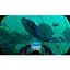 Ключ активації Microsoft Subnautica: Below Zero для Xbox One/Series - мініатюра 7
