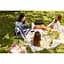 Портативная колонка JBL Boombox 3 Wi-Fi Black (JBLBB3WIFIBLKEP) - миниатюра 7