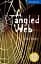 CER 5 A Tangled Web. Book with Audio CDs (3) Pack - мініатюра 1