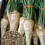 Семена Agro-Market Петрушка корневая на вес цена за 5 г (13349) - миниатюра 1
