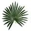 Штучна рослина Engard Fan Palm 120 см (DW-27) - мініатюра 4