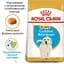 Сухой корм для щенков породы Золотистый Ретривер Royal Canin Golden Retriever Puppy, 3 кг (39790301) - миниатюра 4