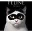 Feline - миниатюра 1