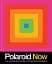 Polaroid Now. The History and Future of Polaroid Photography - миниатюра 1
