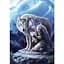 Пазл Anne Stokes "Protector" - 1000 шт. Clementoni 39958 - мініатюра 2