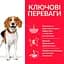 Сухий корм Hill’s SP Adult Perfect Weight Medium Breed для дорослих собак середніх порід з куркою 2 кг - мініатюра 2