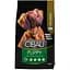 Сухий корм для цуценят міні порід Farmina Cibau Puppy Mini Breed, з куркою, 2,5 кг - мініатюра 1