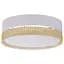 Потолочный светильник TK Lighting 6536 Paglia - миниатюра 1