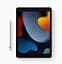 Планшет Apple iPad 10.2` (9 Gen) 256GB Wi-Fi Silver 2021 (MK2P3) [60256] - мініатюра 3
