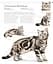 The Cat Encyclopedia - мініатюра 11
